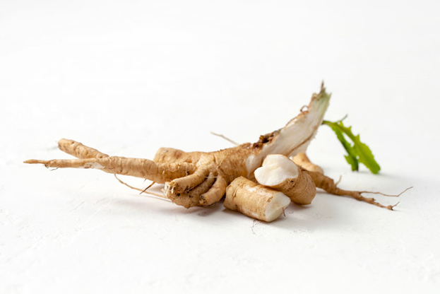 Chicory Root Extract