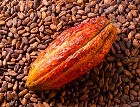 Coffee Beans