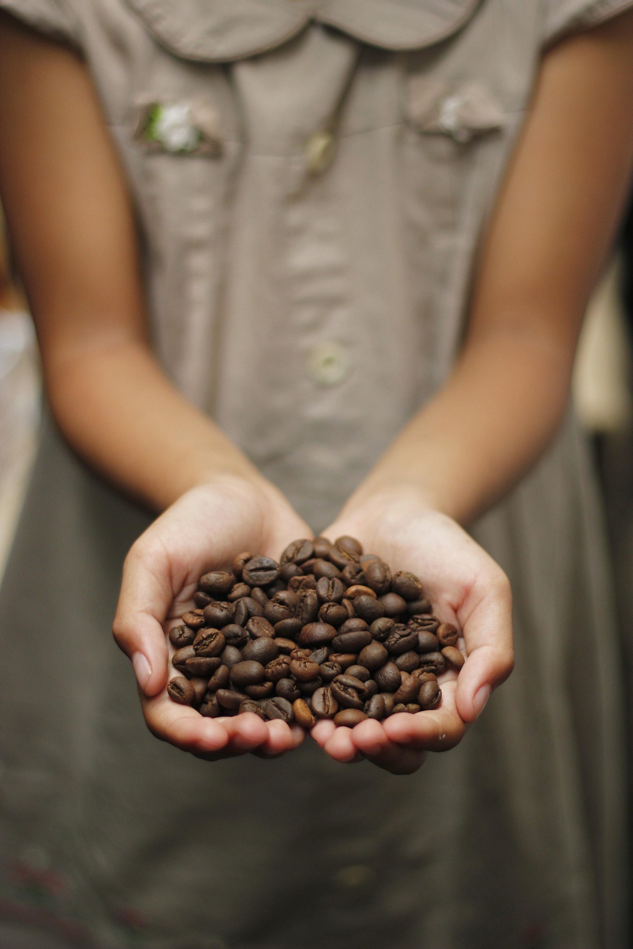 Lawkaz Coffee World - Target clients for Network Marketing